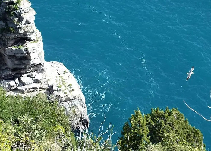 Casa Fiorellina -positano Appartement *